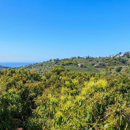 Villa Javier De Frigiliana By Ruralidays Luaran gambar